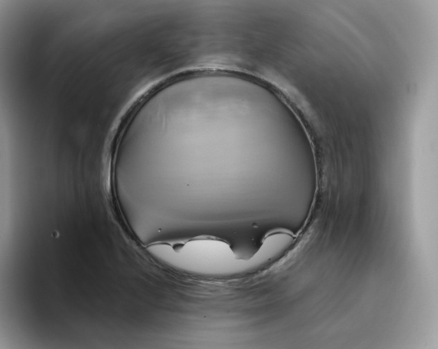 X0000094221224200711091250