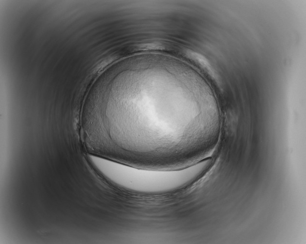 X0000094221225200711091250