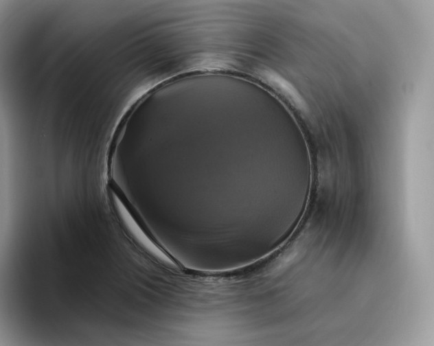 X0000094221226200711091250