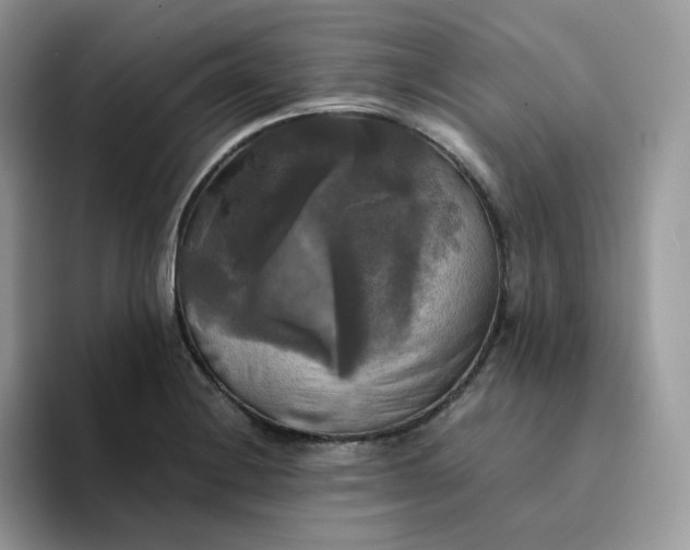 X0000094221228200711091250