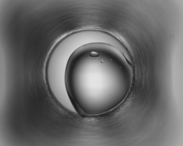 X0000094221230200711091250