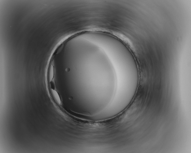 X0000094221231200711091250