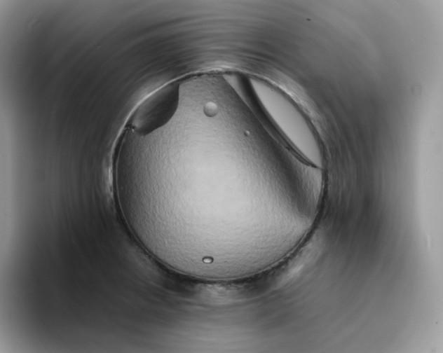 X0000094221234200711091250