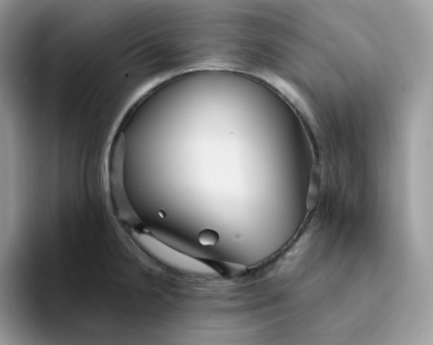 X0000094221238200711091250