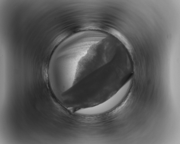 X0000094221241200711091250