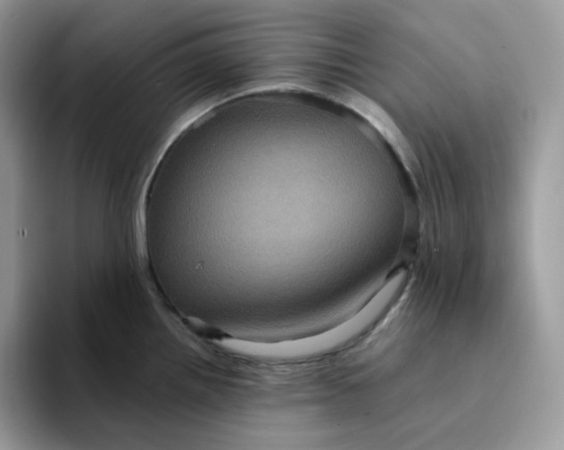 X0000094221242200711091250