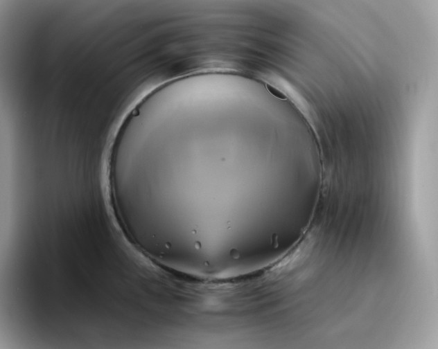 X0000094221243200711091250