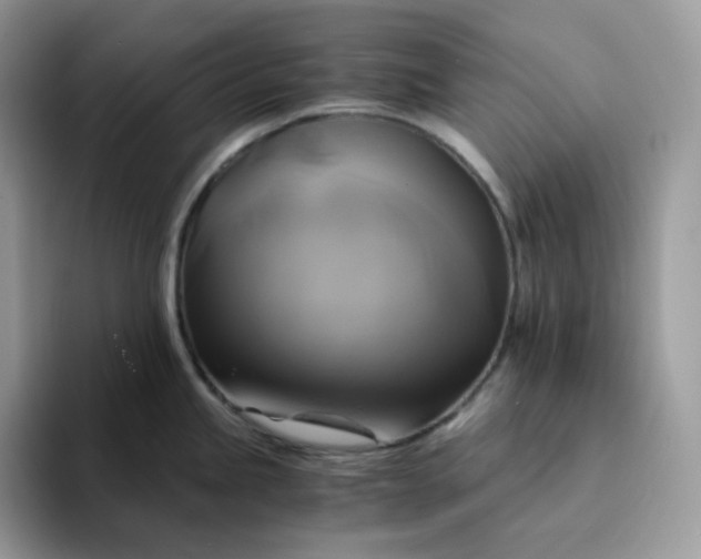 X0000094221245200711091250