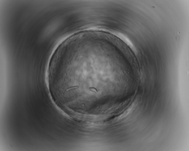 X0000094221247200711091250