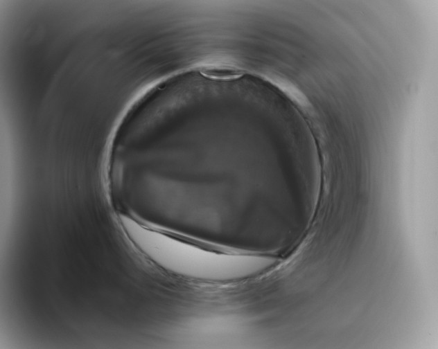 X0000094221248200711091250