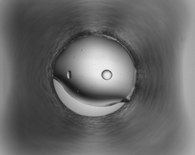 X0000094221249200711091249