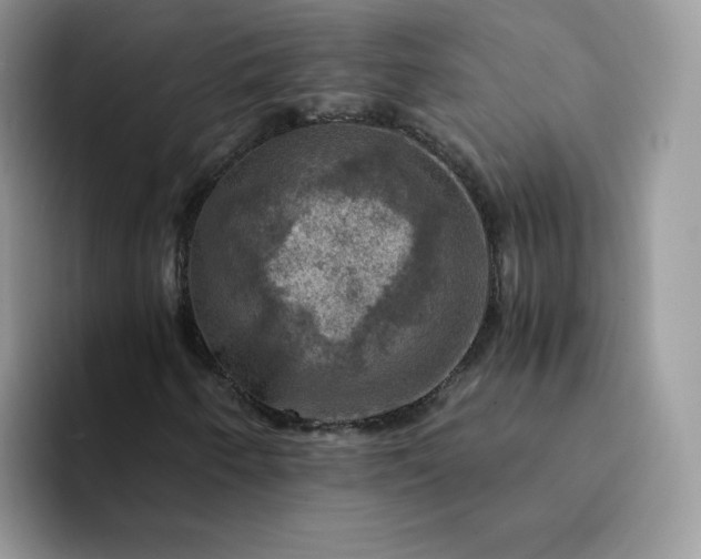 X0000094221250200711091249