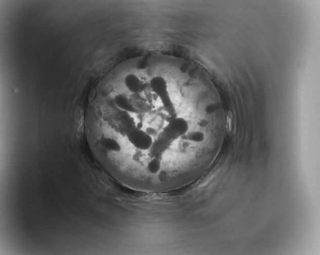 X0000094221251200711091249