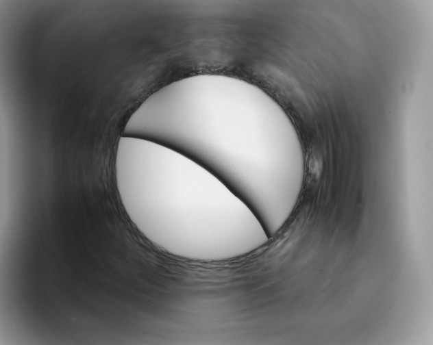 X0000094221252200711091249