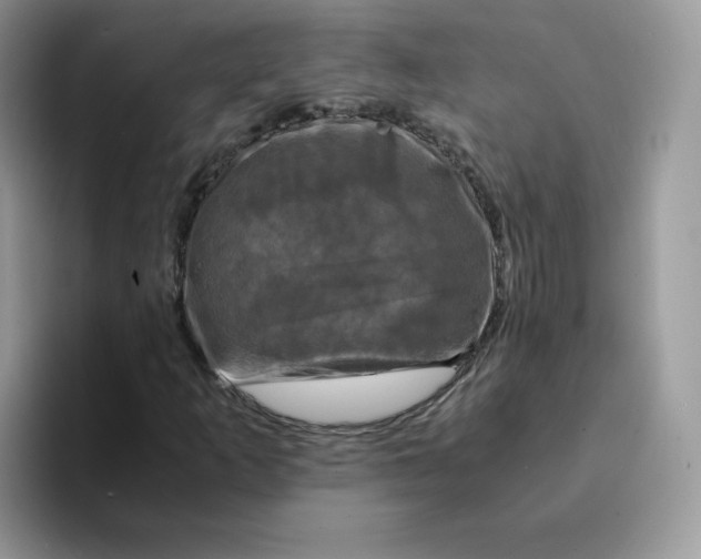 X0000094221253200711091249