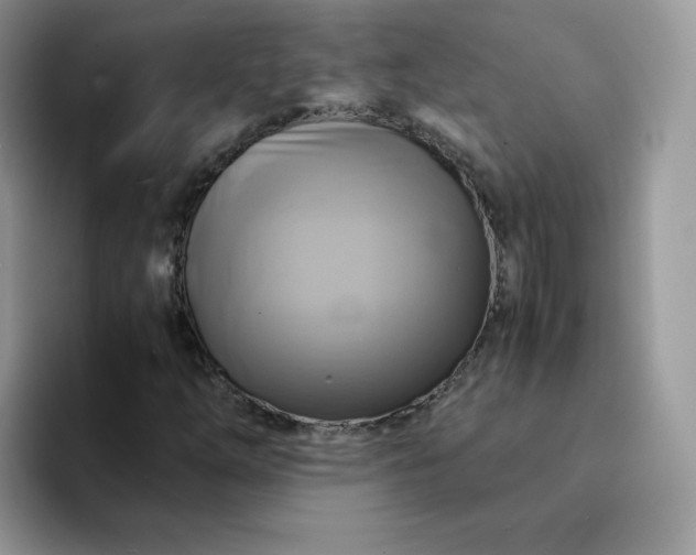 X0000094221254200711091249