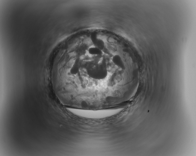 X0000094221255200711091249