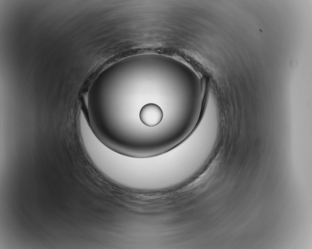 X0000094221257200711091249