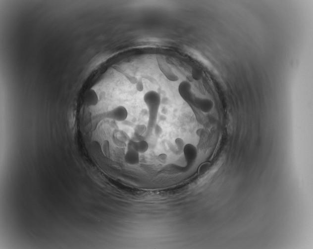 X0000094221259200711091249