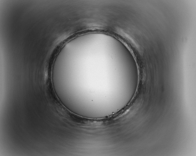 X0000094221261200711091249