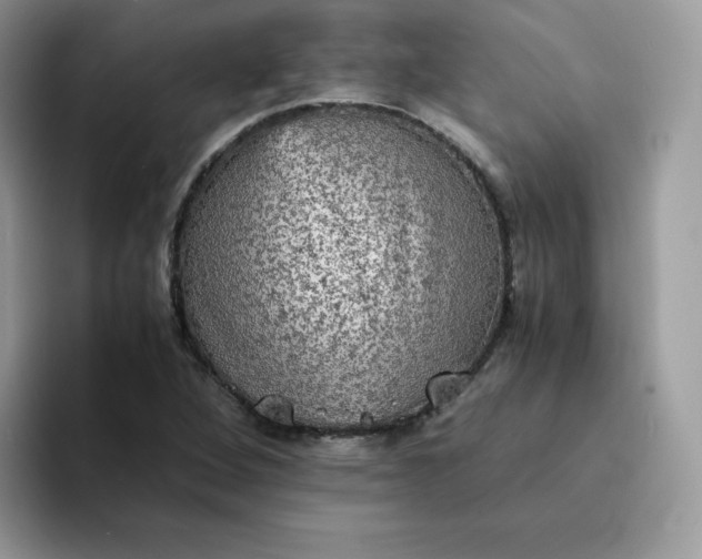 X0000094221264200711091249