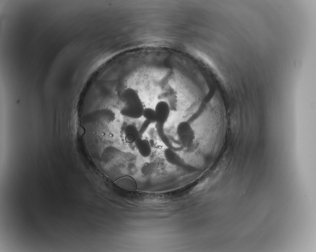 X0000094221267200711091249