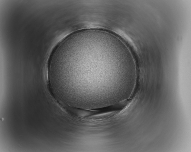 X0000094221269200711091249