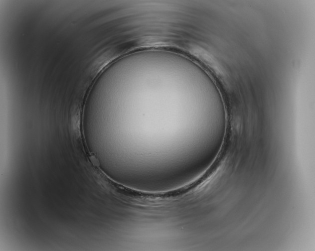 X0000094221273200711091249