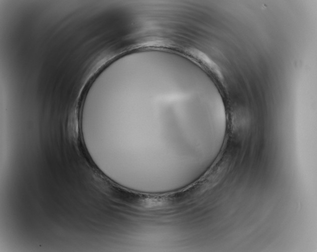 X0000094221274200711091249