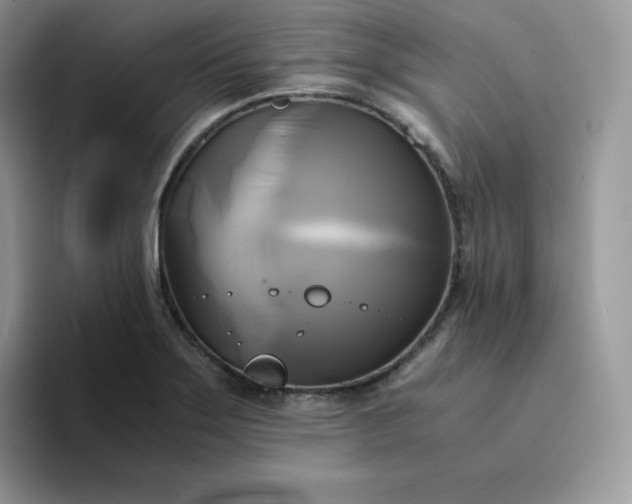 X0000094221275200711091249