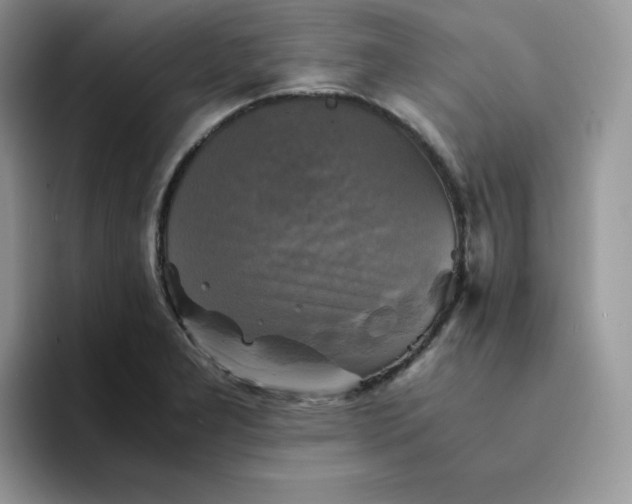 X0000094221277200711091249