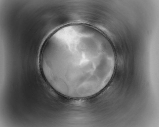 X0000094221278200711091249