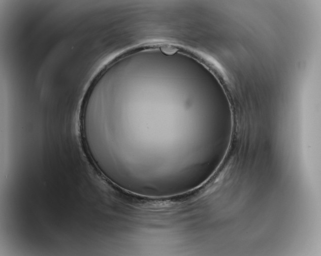 X0000094221279200711091249