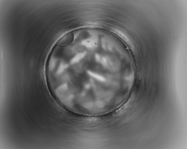 X0000094221283200711091249