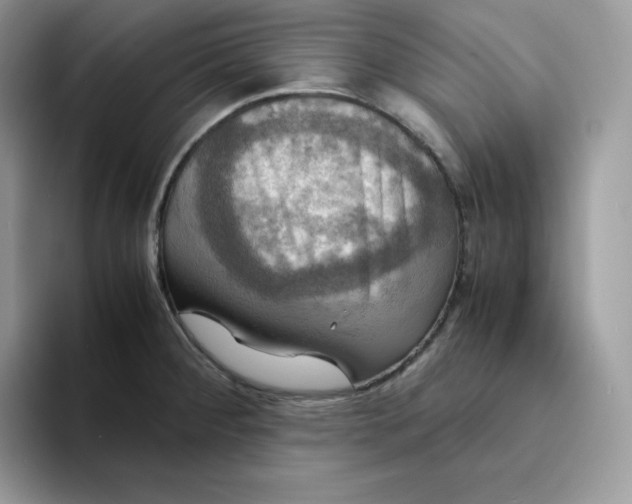 X0000094221284200711091249