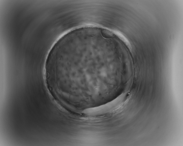 X0000094221287200711091249