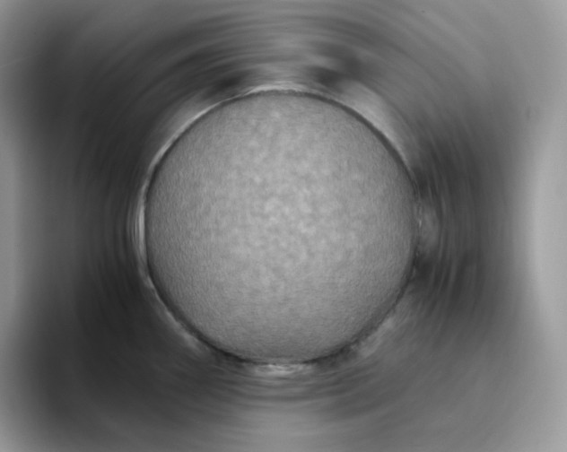 X0000094221290200711091249