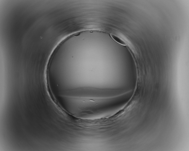 X0000094221291200711091249