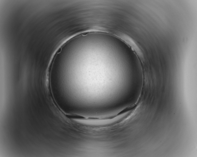 X0000094221292200711091249