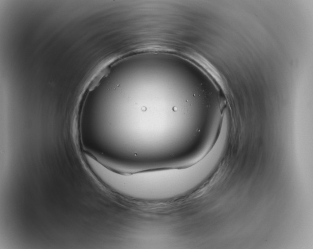 X0000094221293200711091249