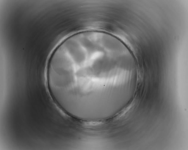 X0000094221294200711091249