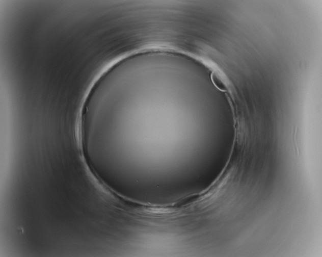 X0000094221295200711091249