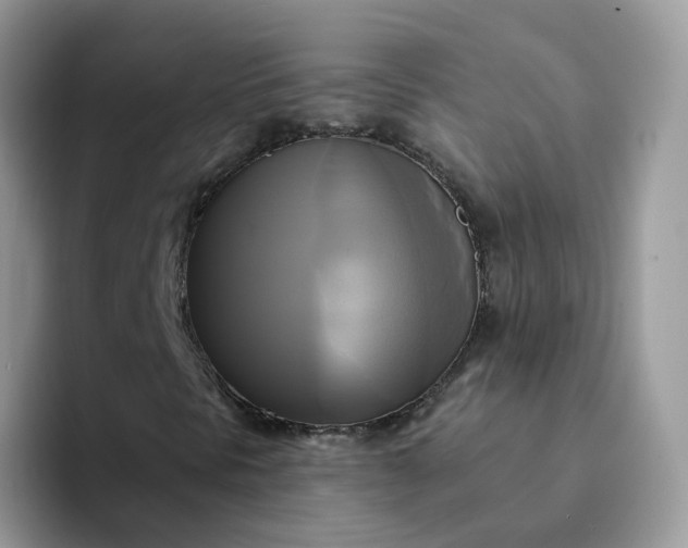 X0000094221297200711091248