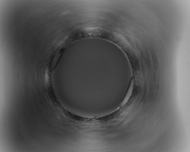 X0000094221298200711091248