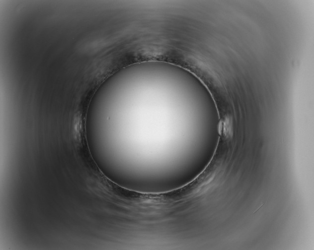 X0000094221299200711091248