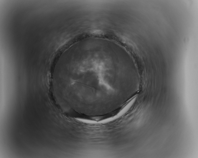 X0000094221301200711091248