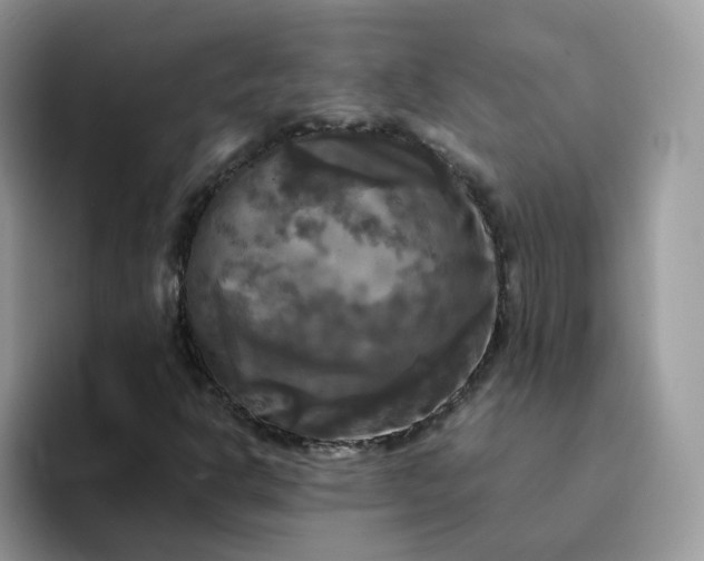 X0000094221302200711091248