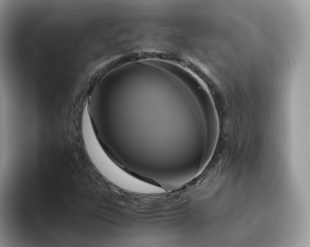 X0000094221303200711091248