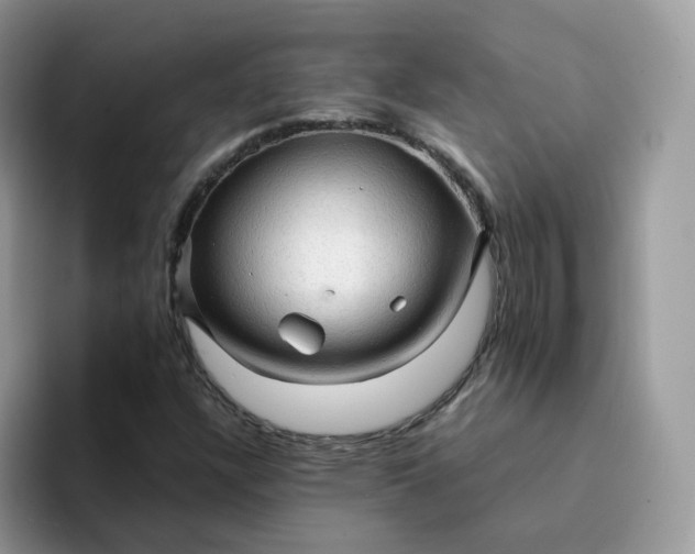 X0000094221304200711091248