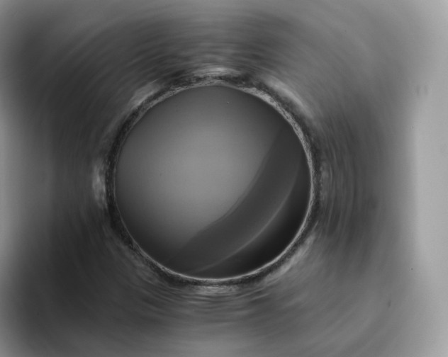 X0000094221305200711091248